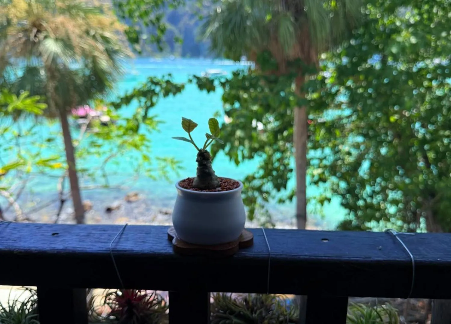 Mild Room Sea View Room For Rent Koh Koh Phi Phi Don 0*,  Thaïlande
