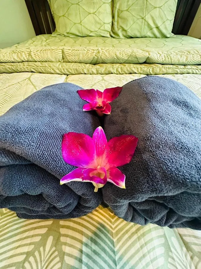 Apartment Mild Room Sea View Room For Rent Phi Phi Don Thailand